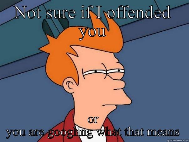 NOT SURE IF I OFFENDED YOU OR YOU ARE GOOGLING WHAT THAT MEANS Futurama Fry