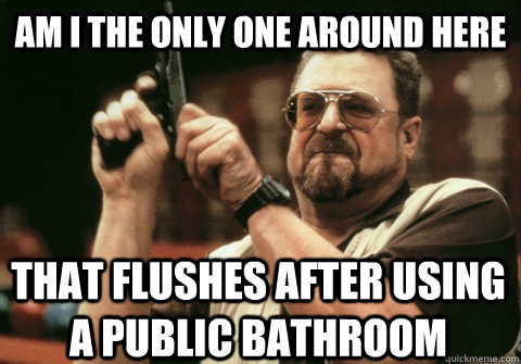 Am I the only one around here That flushes after using a public bathroom - Am I the only one around here That flushes after using a public bathroom  Am I the only one