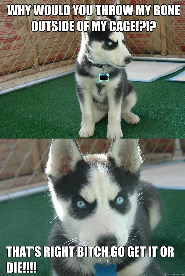 Why would you throw my bone outside of my cage!?!? that's right bitch go get it or die!!!!  Insanity puppy