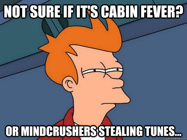 Not sure if it's cabin fever? or mindcrushers stealing tunes...  Futurama Fry