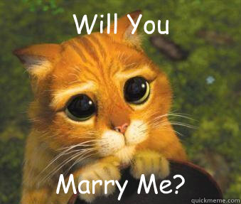 Will You Marry Me?  Puss in boots