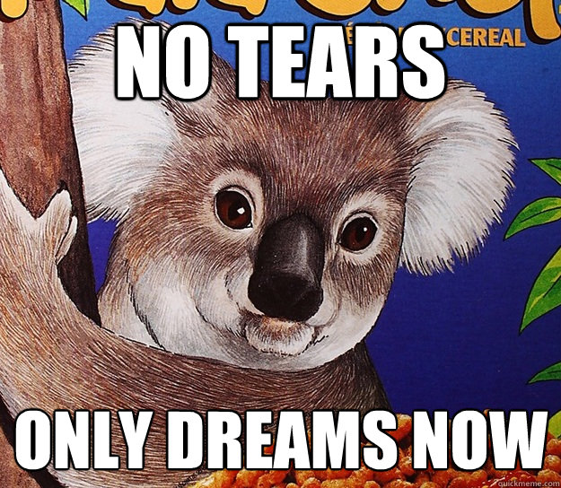 No tears only dreams now - No tears only dreams now  koala crisp