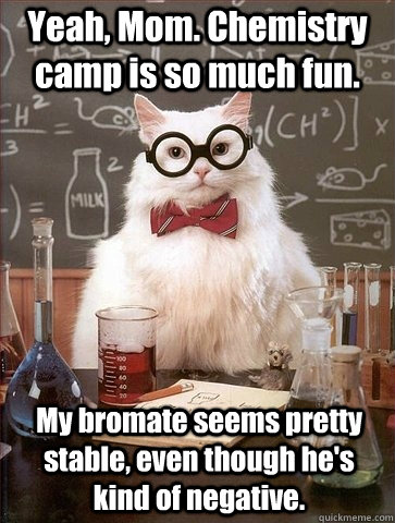 Yeah, Mom. Chemistry camp is so much fun. My bromate seems pretty stable, even though he's kind of negative.   Chemistry Cat