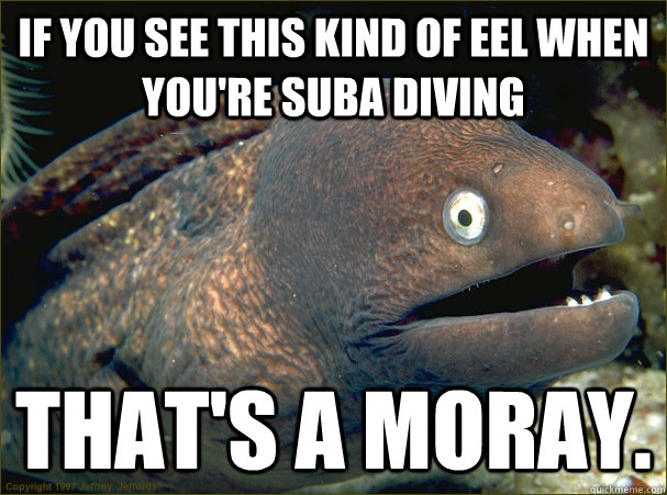 If you see this kind of eel when you're suba diving that's a moray. - If you see this kind of eel when you're suba diving that's a moray.  Bad Joke Eel