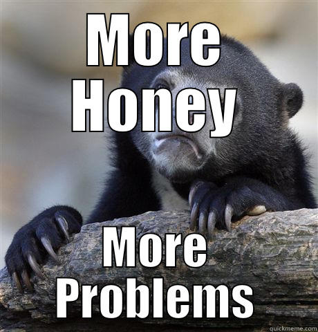MORE HONEY MORE PROBLEMS Confession Bear
