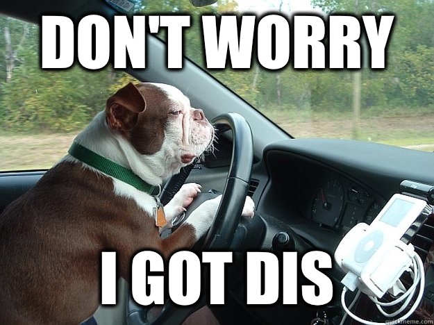 Don't worry I got dis - Don't worry I got dis  Dog driving