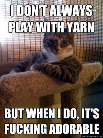 i don't always play with yarn but when i do, it's fucking adorable  The Most Interesting Cat in the World