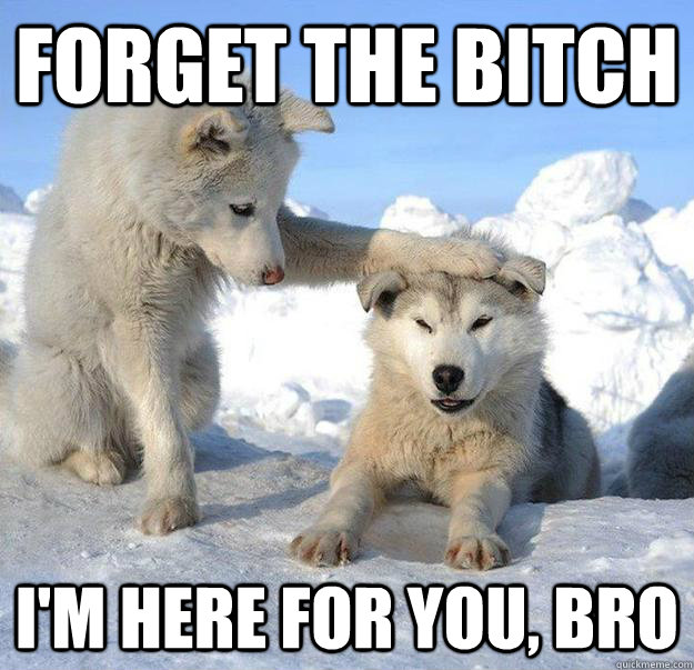 forget the bitch i'm here for you, bro  Caring Husky