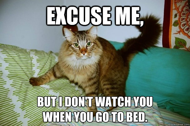 Excuse me, but I don't watch you
when you go to bed. - Excuse me, but I don't watch you
when you go to bed.  Maine Coon thoughts