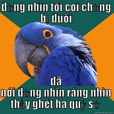 ĐỪNG NHÌN TÔI COI CHỪNG BỊ ĐUÔI ĐÃ NÓI ĐỪNG NHÌN RÁNG NHÌN THẤY GHÉT HÀ QUỶ SỨ  Paranoid Parrot