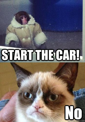 START THE CAR! No  Ikea Monkey Grumpy Cat