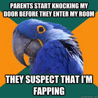 parents start knocking my door before they enter my room they suspect that i'm fapping  Paranoid Parrot