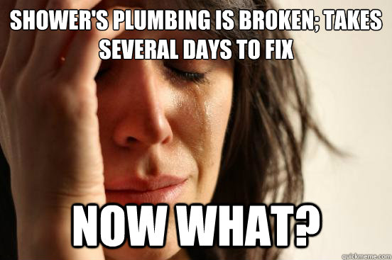 shower's plumbing is broken; takes several days to fix now what?  First World Problems