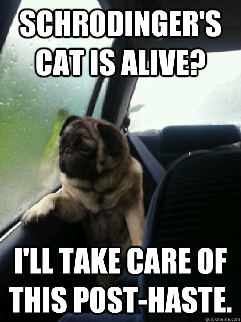 Schrodinger's cat is alive? I'll take care of this post-haste.  Introspective Pug