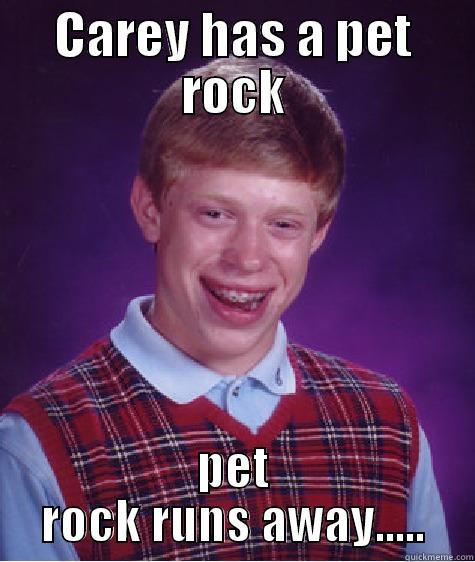 CAREY HAS A PET ROCK PET ROCK RUNS AWAY..... Bad Luck Brian