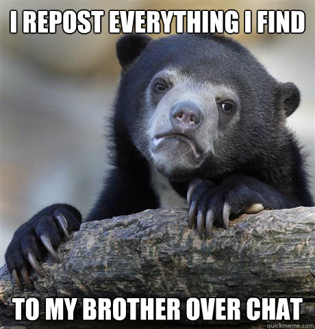 I repost everything I find to my brother over chat - I repost everything I find to my brother over chat  Confession Bear
