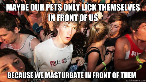 Maybe our pets only lick themselves in front of us because we masturbate in front of them   Sudden Clarity Clarence