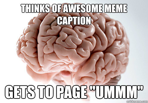 Thinks of awesome meme caption Gets to page 