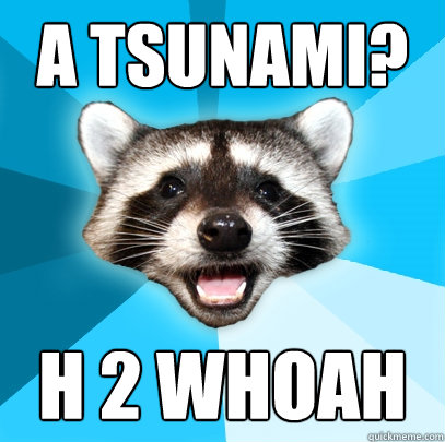 A TSUNAMI? H 2 WHOAH  Lame Pun Coon