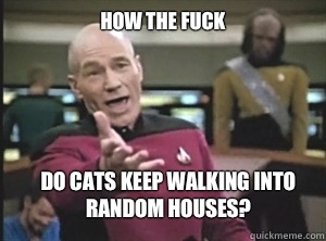 How the fuck  Do cats keep walking into random houses?  Annoyed Picard