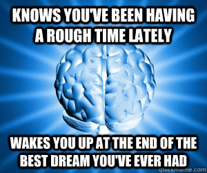 Knows you've been having a rough time lately Wakes you up at the end of the best dream you've ever had  Good Guy Brain