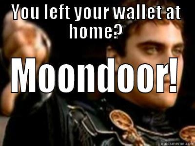 YOU LEFT YOUR WALLET AT HOME? MOONDOOR! Downvoting Roman