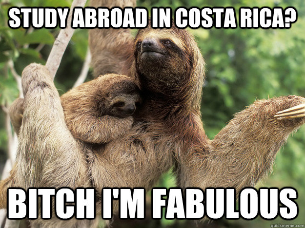 Study abroad in Costa Rica? Bitch I'm fabulous  Fabulous Sloth