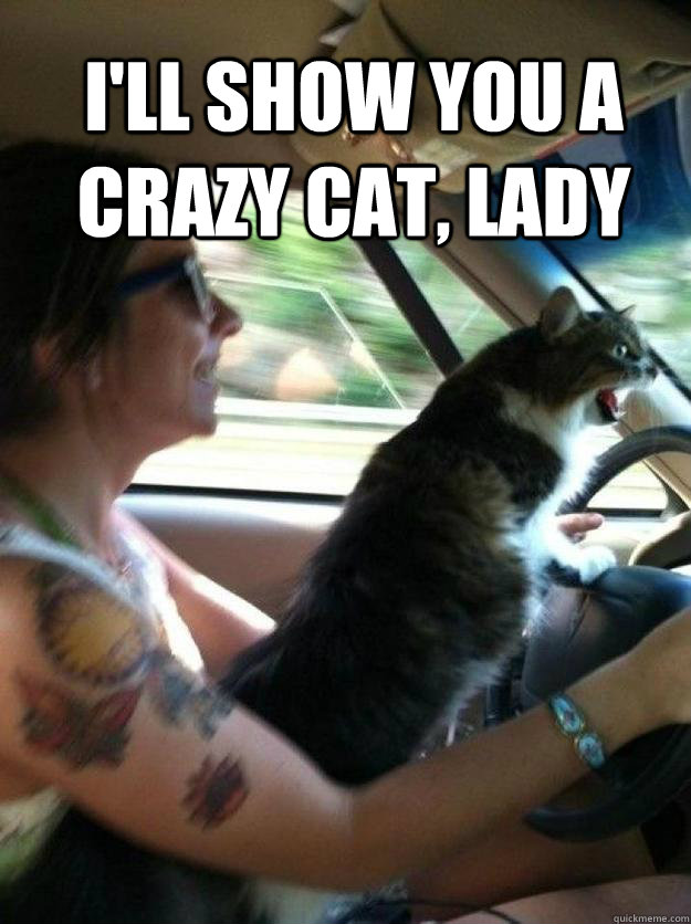 I'll show you a crazy cat, lady  