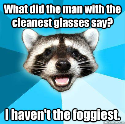 What did the man with the cleanest glasses say? I haven't the foggiest.  Lame Pun Coon Huck No