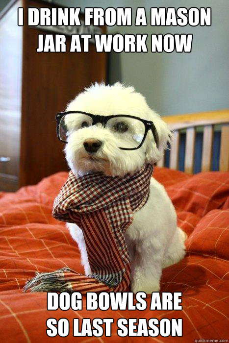 i drink from a mason jar at work now dog bowls are 
so last season  Hipster Dog