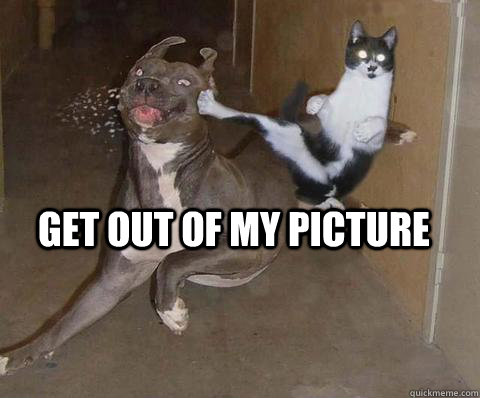 Get out of my picture - Get out of my picture  get out