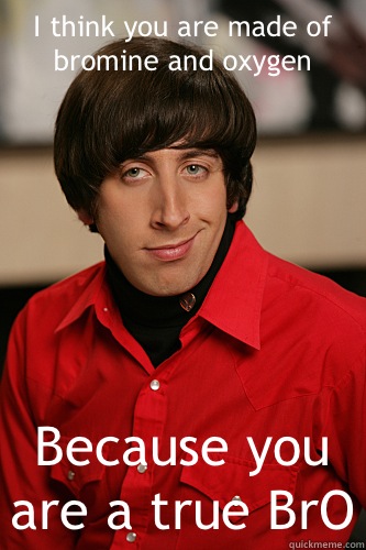 I think you are made of  bromine and oxygen Because you are a true BrO  Howard Wolowitz