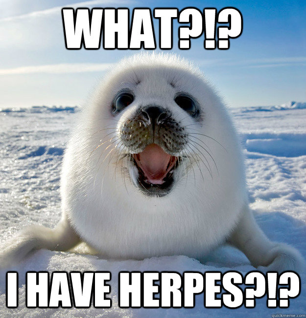 What?!? I have herpes?!?  Easily Pleased Seal