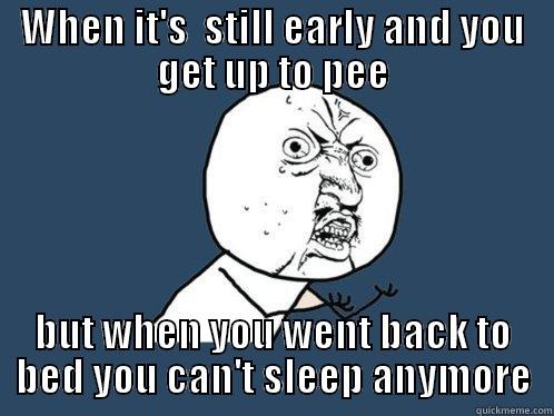 WHEN IT'S  STILL EARLY AND YOU GET UP TO PEE BUT WHEN YOU WENT BACK TO BED YOU CAN'T SLEEP ANYMORE Y U No