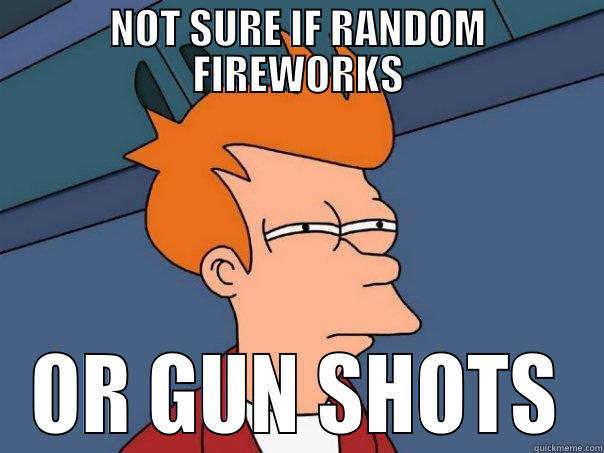 NOT SURE IF RANDOM FIREWORKS OR GUN SHOTS Futurama Fry