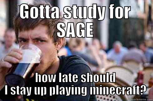 GOTTA STUDY FOR SAGE HOW LATE SHOULD I STAY UP PLAYING MINECRAFT? Lazy College Senior