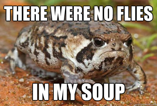There were no flies  in my soup  