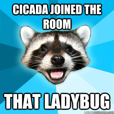 Cicada joined the room that ladybug  Lame Pun Raccoon