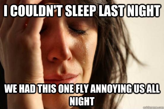 i couldn't sleep last night we had this one fly annoying us all night  First World Problems