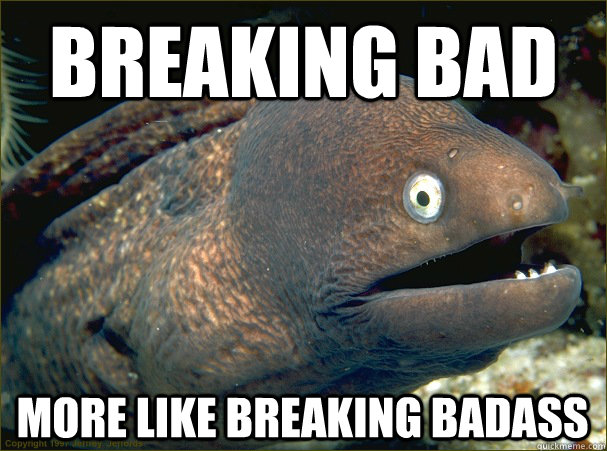Breaking bad more like breaking badass  Bad Joke Eel