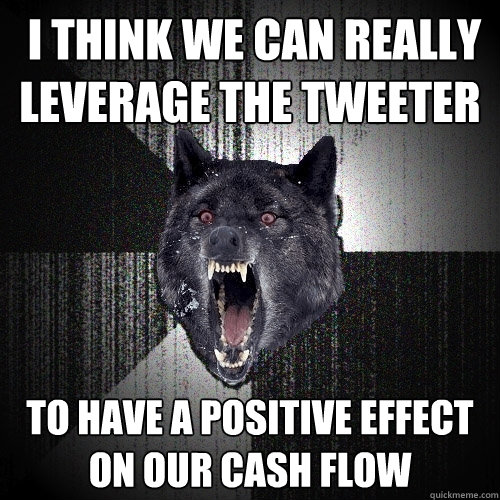  I THINK WE CAN REALLY LEVERAGE THE TWEETER TO HAVE A POSITIVE EFFECT ON OUR CASH FLOW  Insanity Wolf
