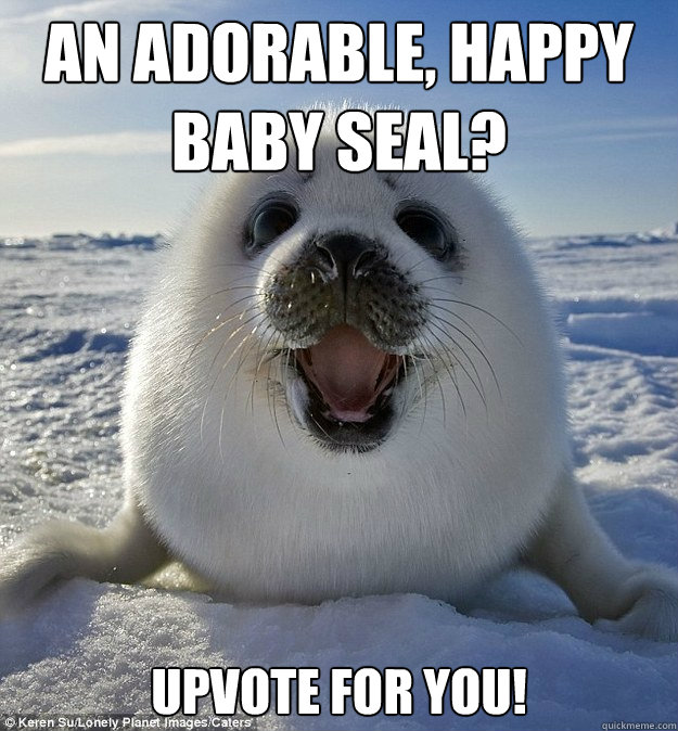 AN ADORABLE, HAPPY BABY SEAL? UPVOTE FOR YOU!  Easily Pleased Seal