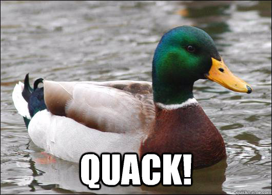  Quack!  Actual Advice Mallard