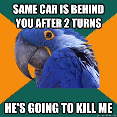 Same car is behind you after 2 turns he's going to kill me  Paranoid Parrot