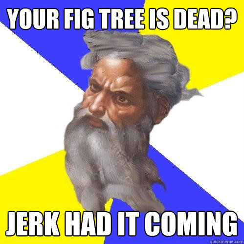 your fig tree is dead? jerk had it coming  Advice God