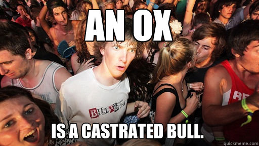 An Ox is a castrated bull.  Sudden Clarity Clarence