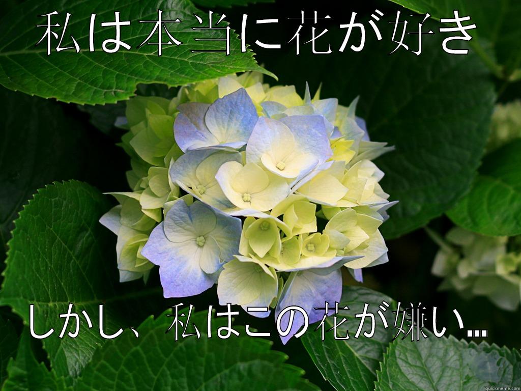 私は本当に花が好き しかし、私はこの花が嫌い... Misc