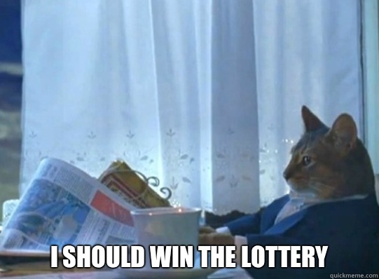  I should win the lottery  -  I should win the lottery   Forever alone sophisticated cat