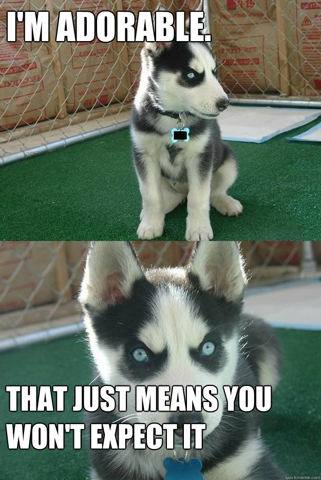 I'm adorable. that just means you won't expect it  Insanity puppy