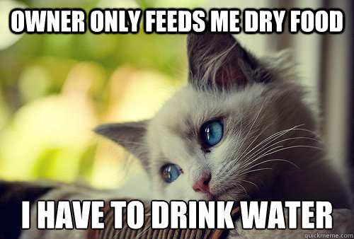 Owner only feeds me dry food I have to drink water  First World Cat Problems